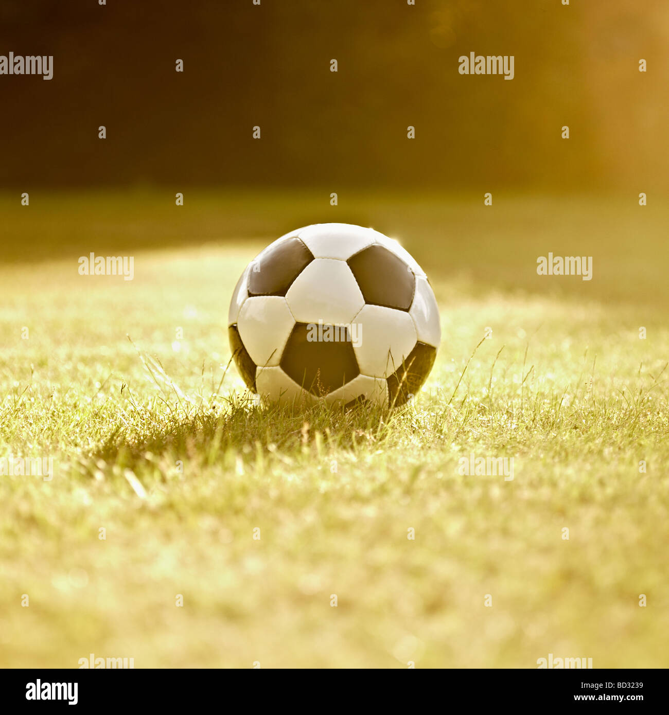 Blanco y negro cuero genérico / fútbol balón de fútbol sobre hierba, iluminadas por el sol. Foto de stock
