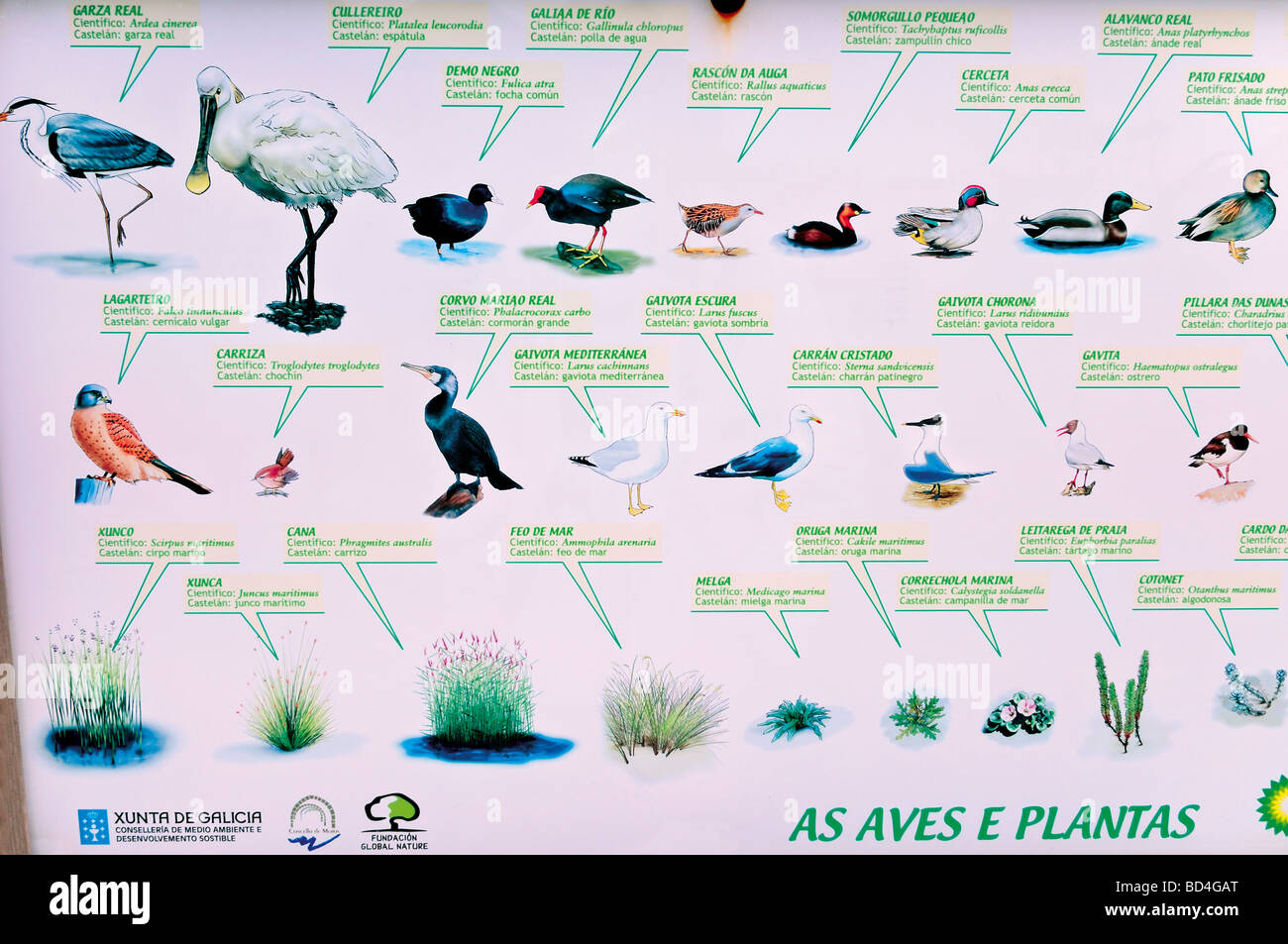España, Galicia: señal de información acerca de la fauna marina en el Parque Natural de Corrubedo Foto de stock