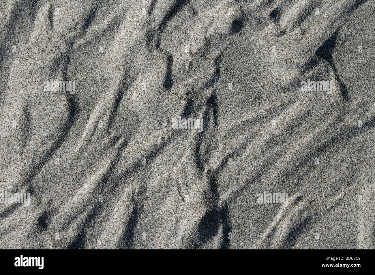 Ondulaciones de arena gris en el río Brahmaputra, Assam, India Foto de stock