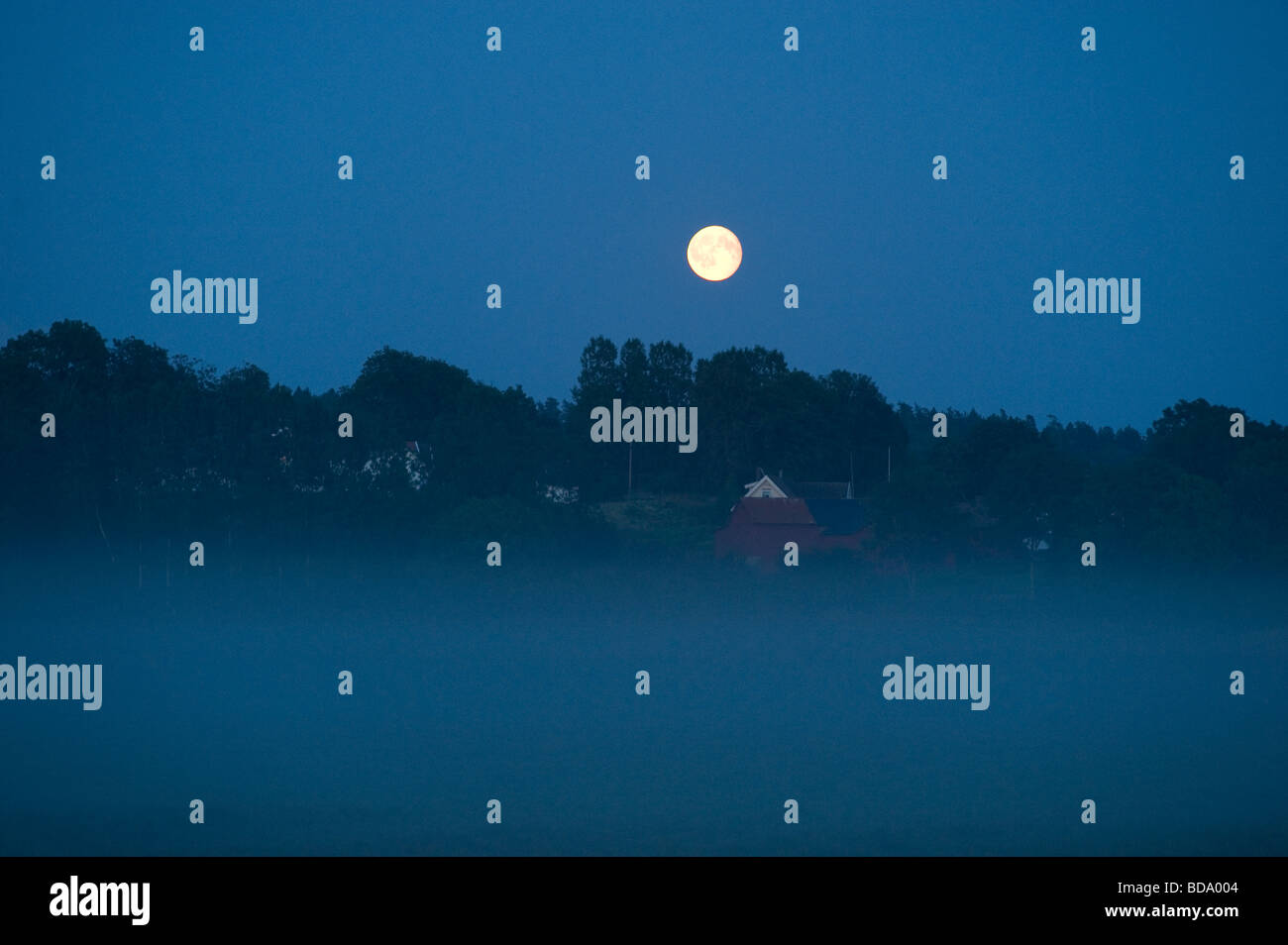 La luna llena en la noche de verano sueco Foto de stock