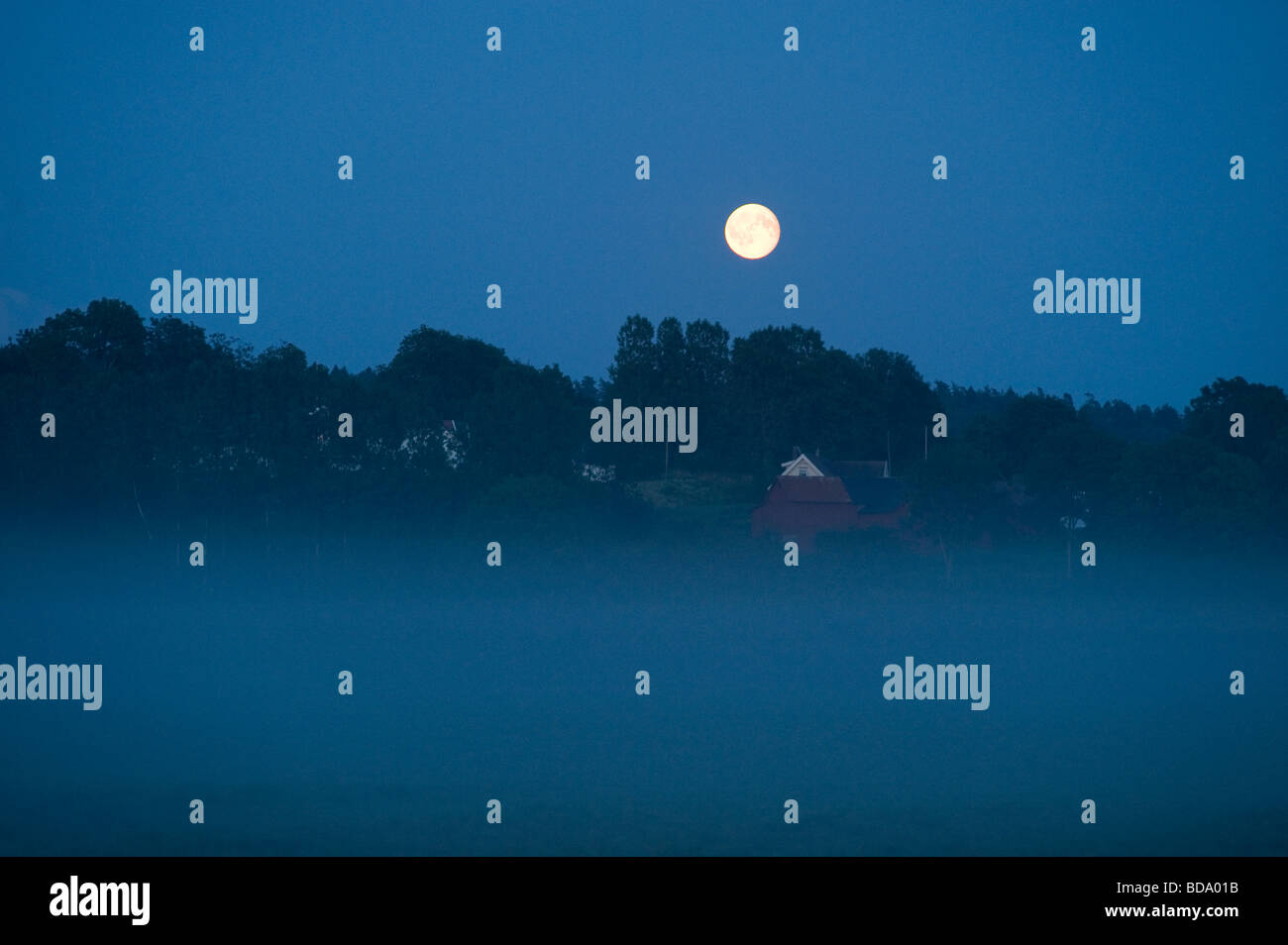 La luna llena en la noche de verano sueco Foto de stock