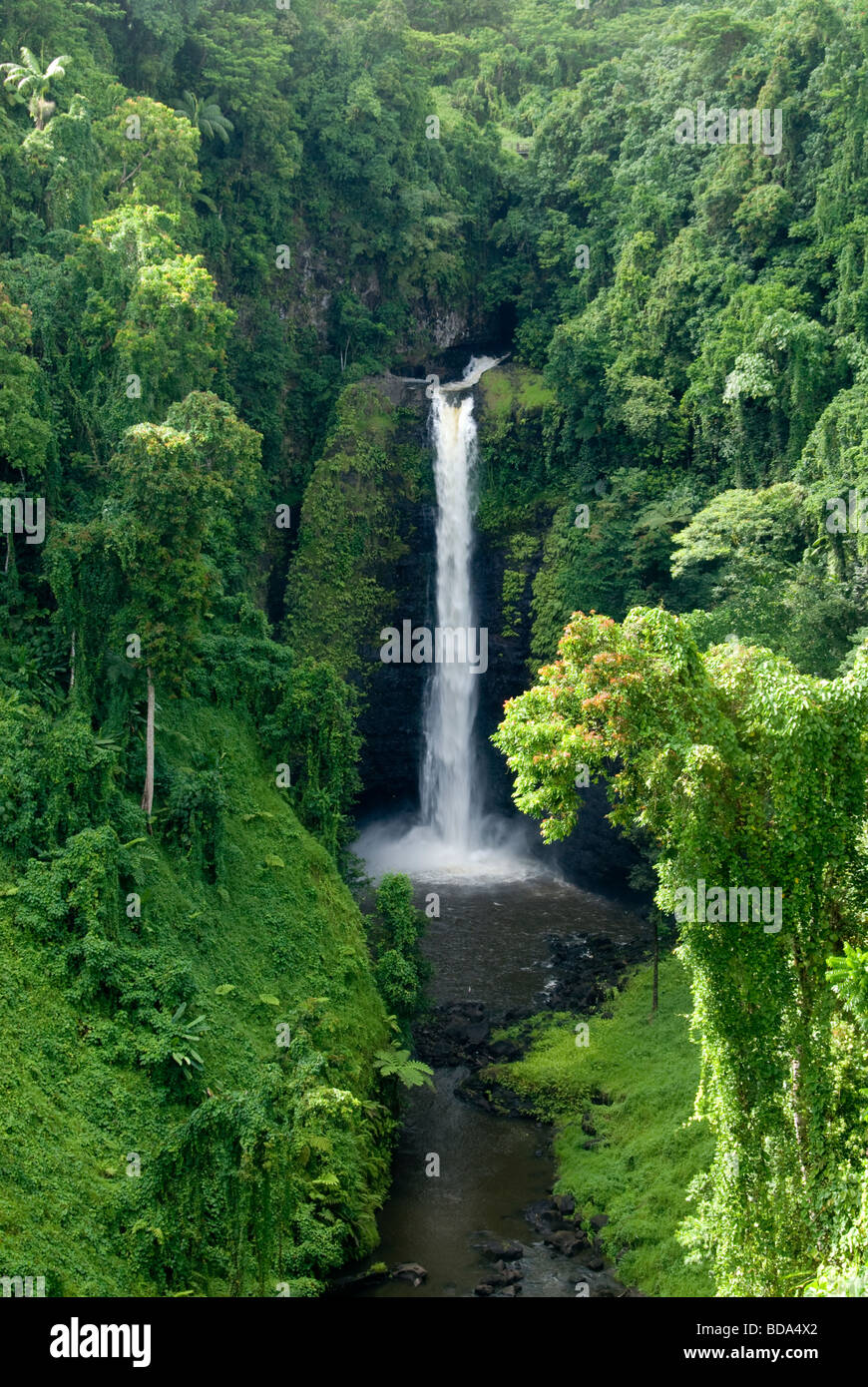 Sopoaga Falls, isla de Upolu, Samoa Occidental Foto de stock