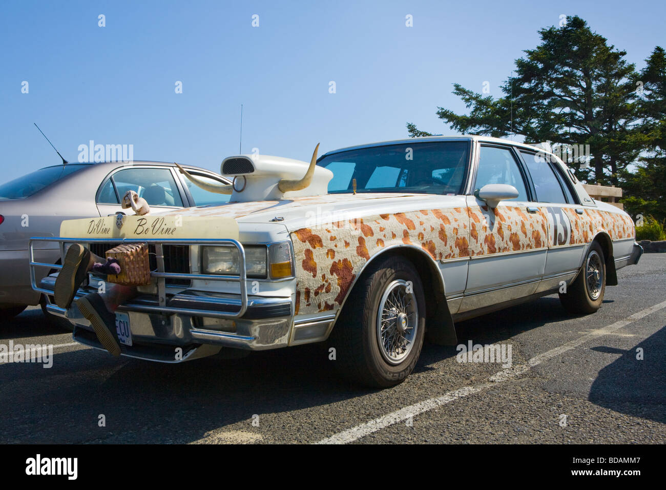 El arte pictórico bovina coche desde Oregon visto Yaquina Bay Foto de stock