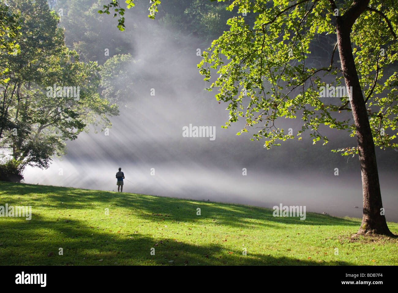 Pescador con mosca con niebla por la mañana temprano y los rayos del sol, en el río de Smith en Virginia, EE.UU. Foto de stock
