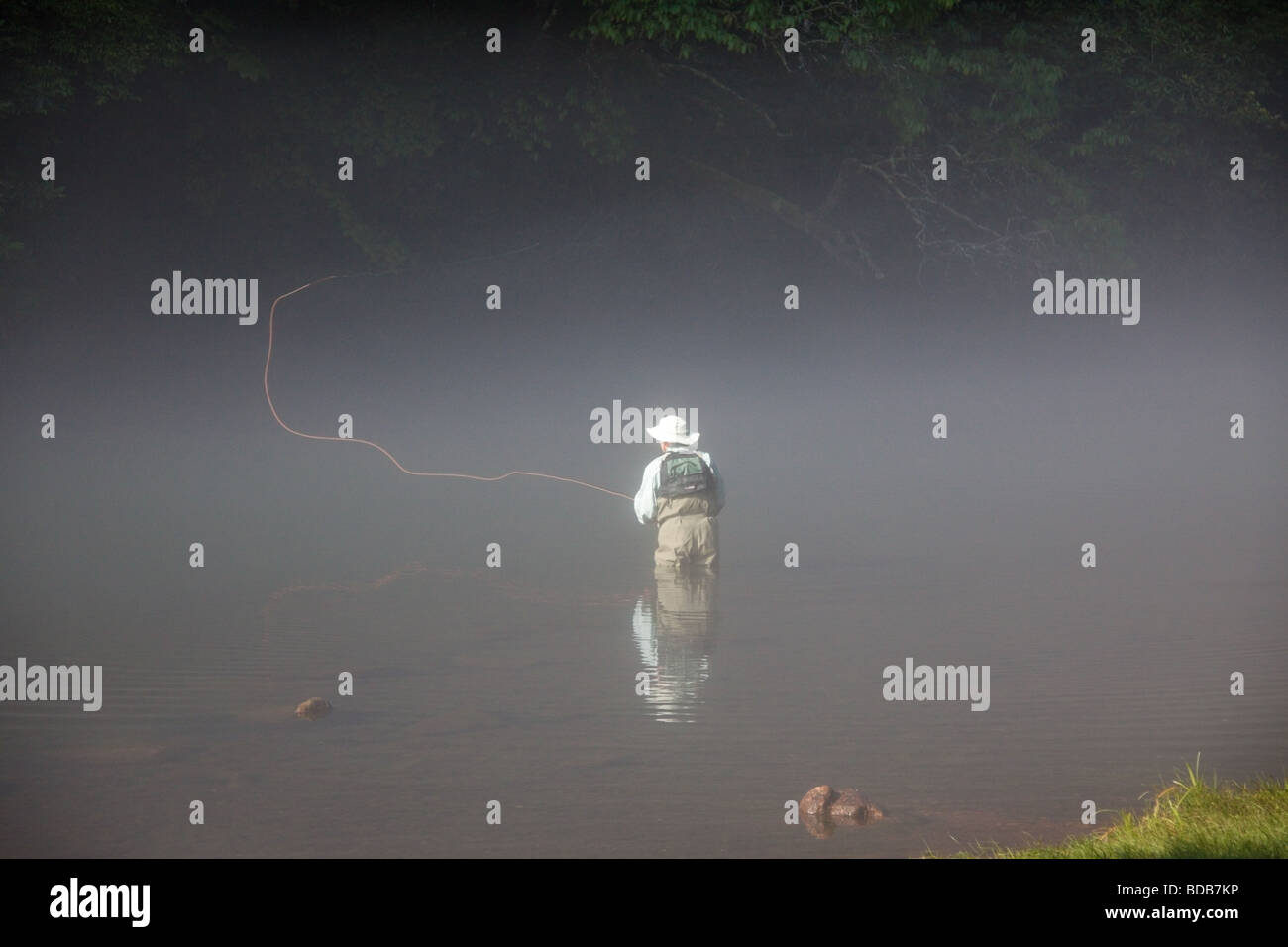 Lone pescador con mosca en las primeras horas de la mañana la niebla en el río de Smith, Virginia, EE.UU. Foto de stock