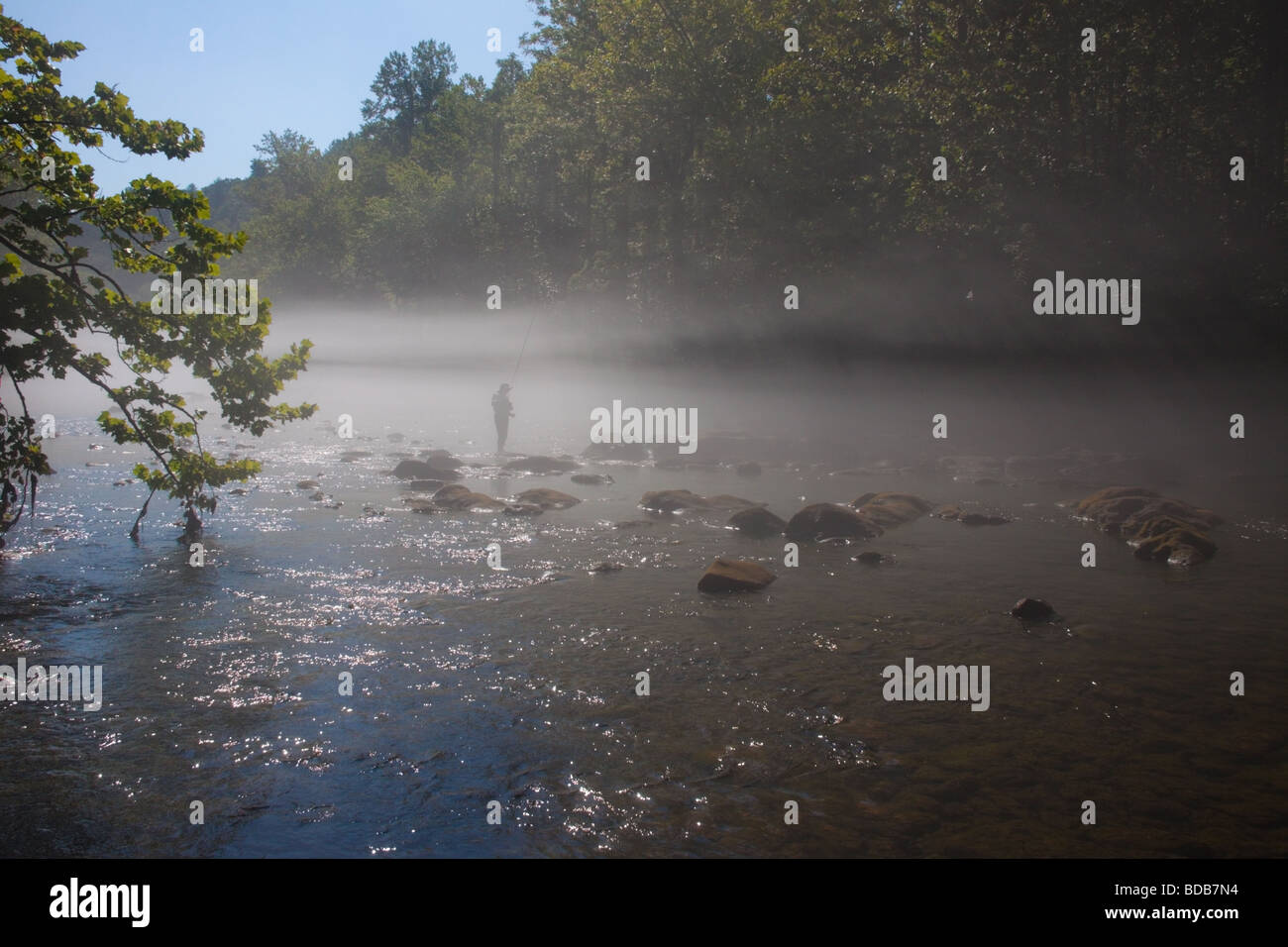 Lone pescador con mosca en las primeras horas de la mañana la niebla en el río de Smith, Virginia, EE.UU. Foto de stock
