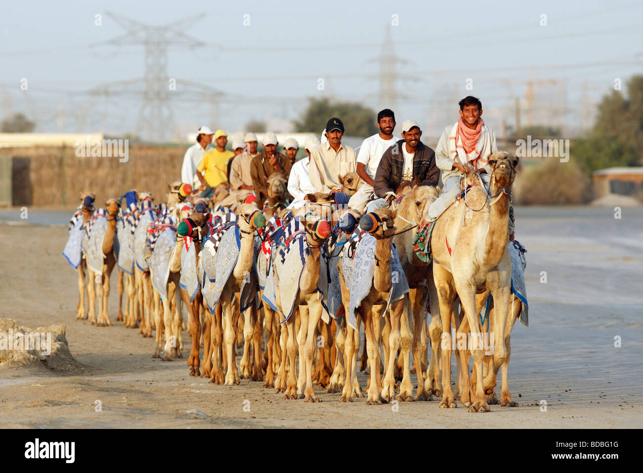 Los jinetes de camellos en un Road, Dubai, Emiratos Árabes Unidos. Foto de stock