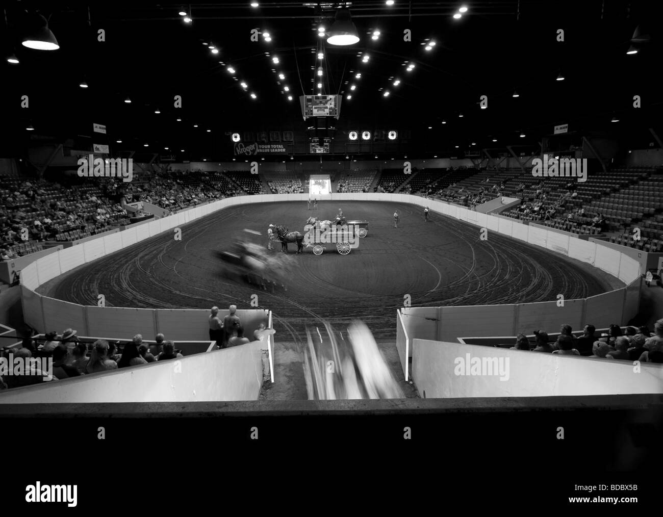 Ohio State Fair horse & Wagon show en el coliseo Fotografía de stock