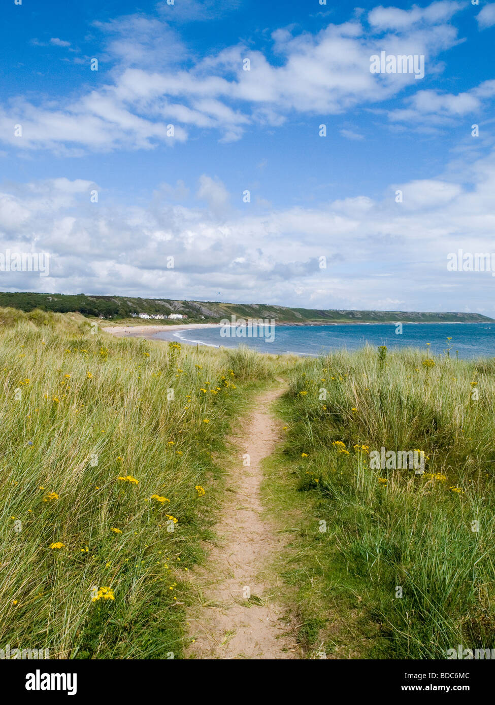 Una vista a través de la hierba por la playa en Port Eynon, Península de Gower Swansea Wales UK Foto de stock