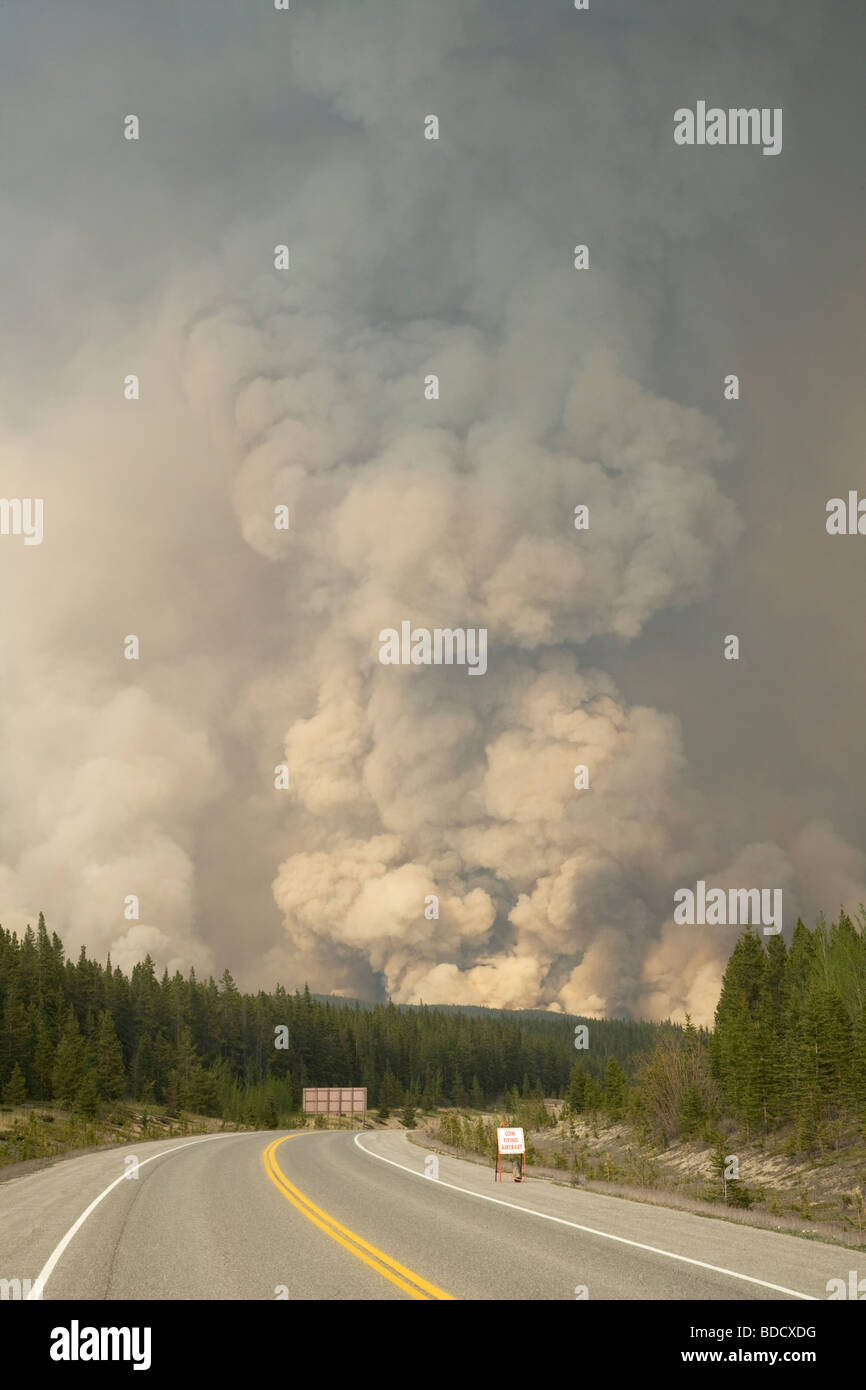 Incendio forestal quema controlada Valle de Saskatchewan, en junio de 2009 El Parque Nacional de Banff Alberta Canada LA003963 Foto de stock