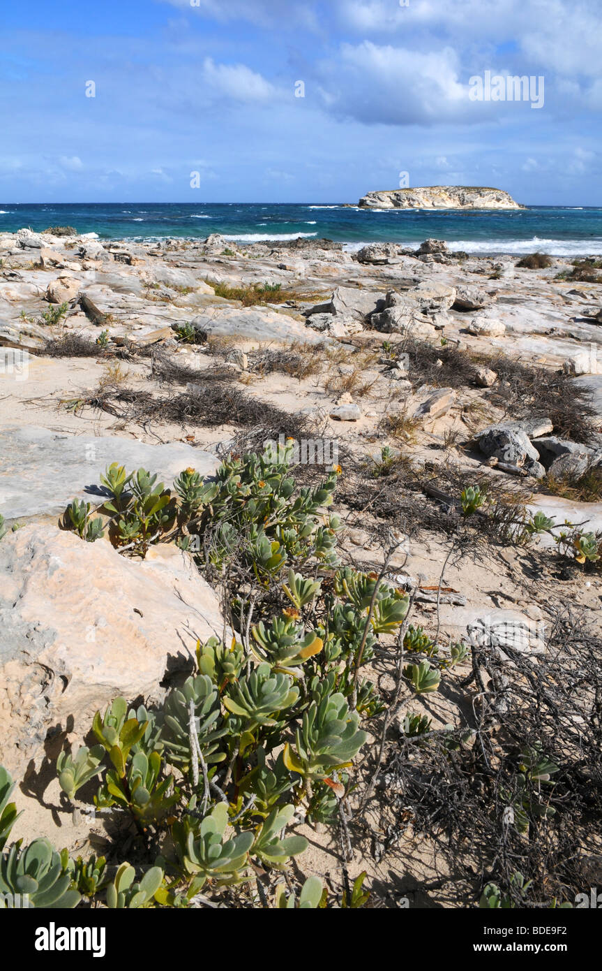 Playa rocosa tropical con arrecifes de coral en la isla de Caicos, British West Indies Foto de stock