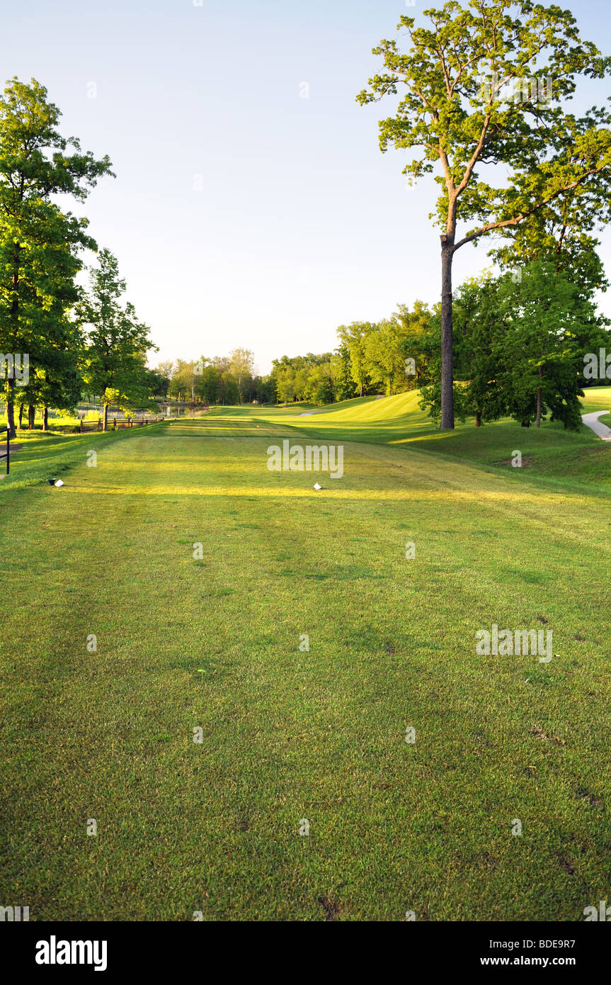 Campo de golf en la tarde Foto de stock