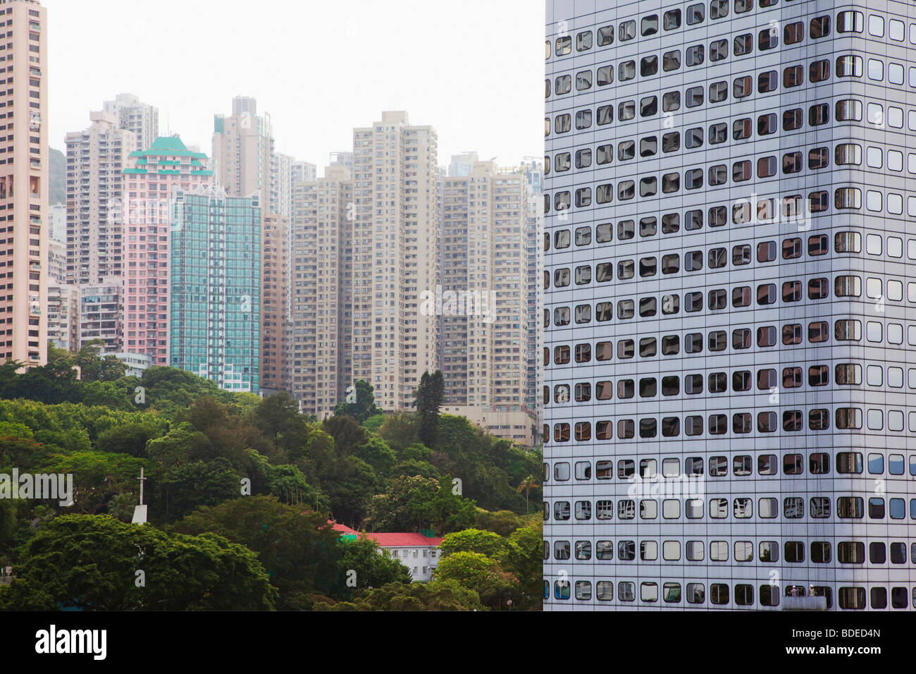 Zonas verdes entre edificios altos de Hong Kong, China. Foto de stock