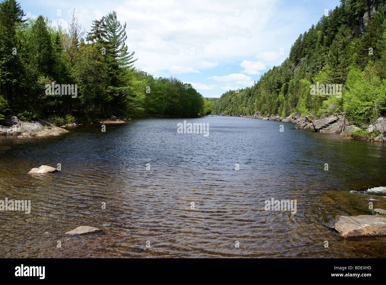 Prístina naturaleza alrededor del río y rodeado de bosques Foto de stock