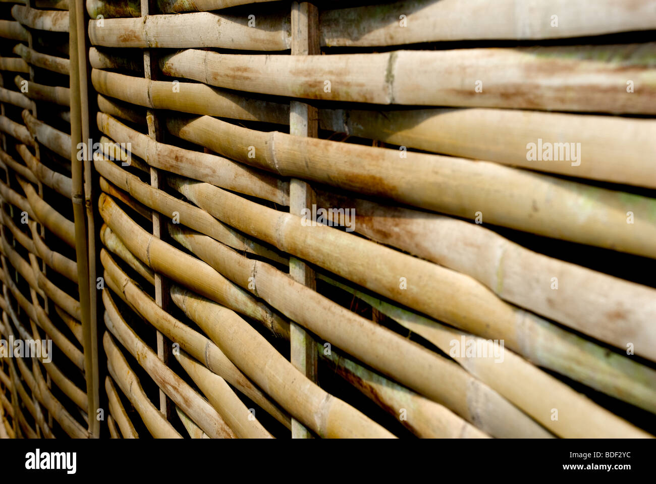 paneles de bambú Fotografía de stock - Alamy