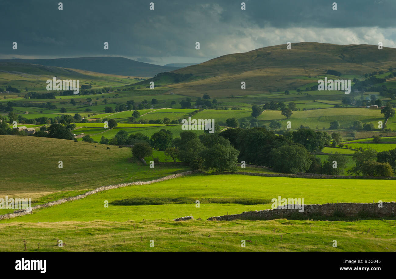 Paisaje agrícola cerca de la aldea de Ravenstonedale, mirando hacia Ravenstonedale común, cerca de Kirkby Stephen, Cumbria, Reino Unido Foto de stock