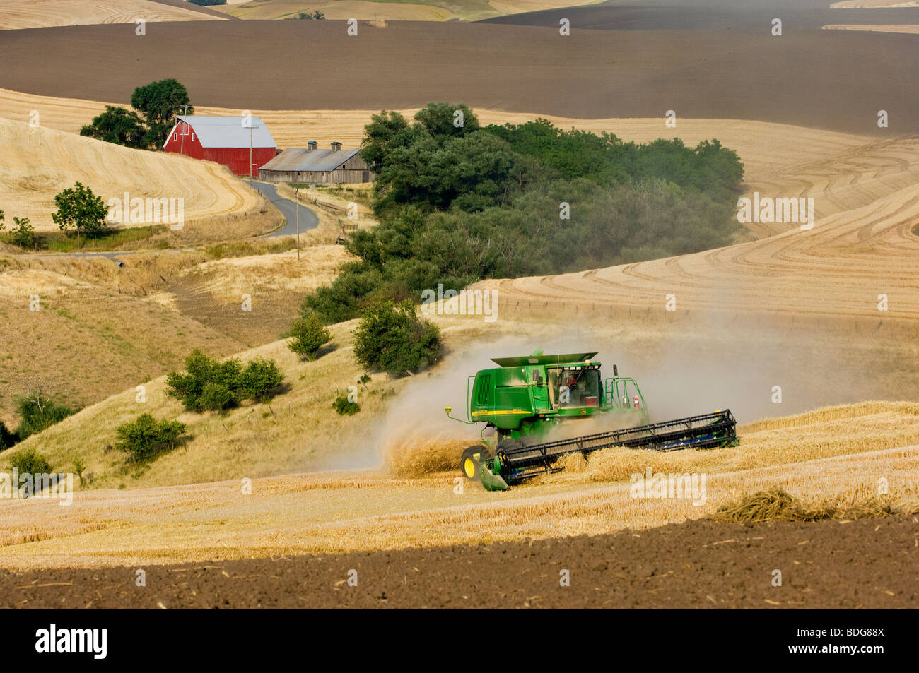 Una cosechadora John Deere las cosechas de trigo suave blanco rodando ladera el terreno con un granero y Country Road en el fondo / EE.UU.. Foto de stock