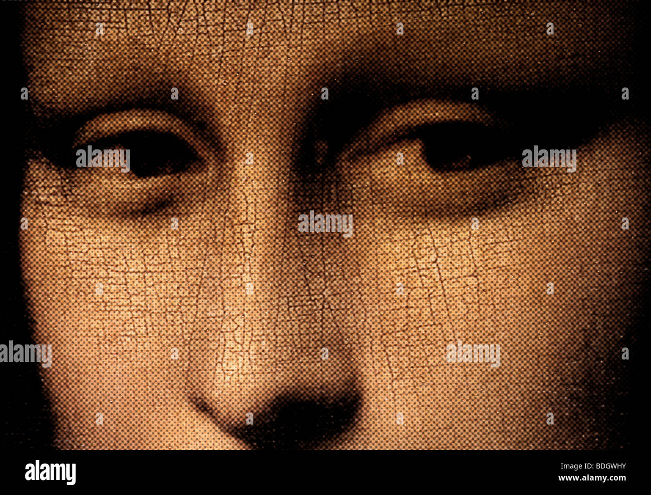 Retrato de Lisa del Giocondo (Mona Lisa) de Leonardo da Vinci Patrón de semitonos Foto de stock