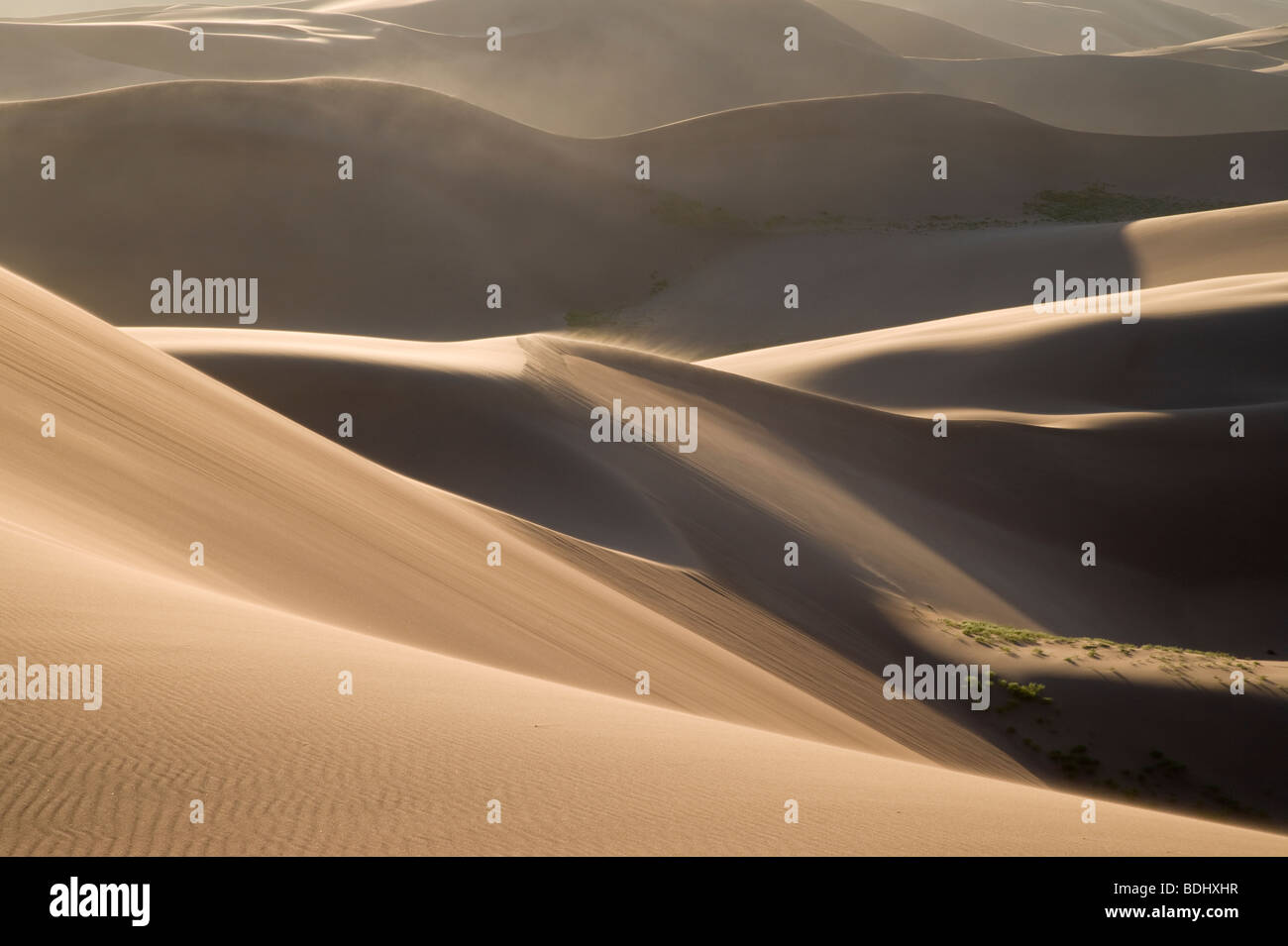 Dunas y arena de soplado, Gran Parque Nacional de las dunas de arena, Colorado Foto de stock