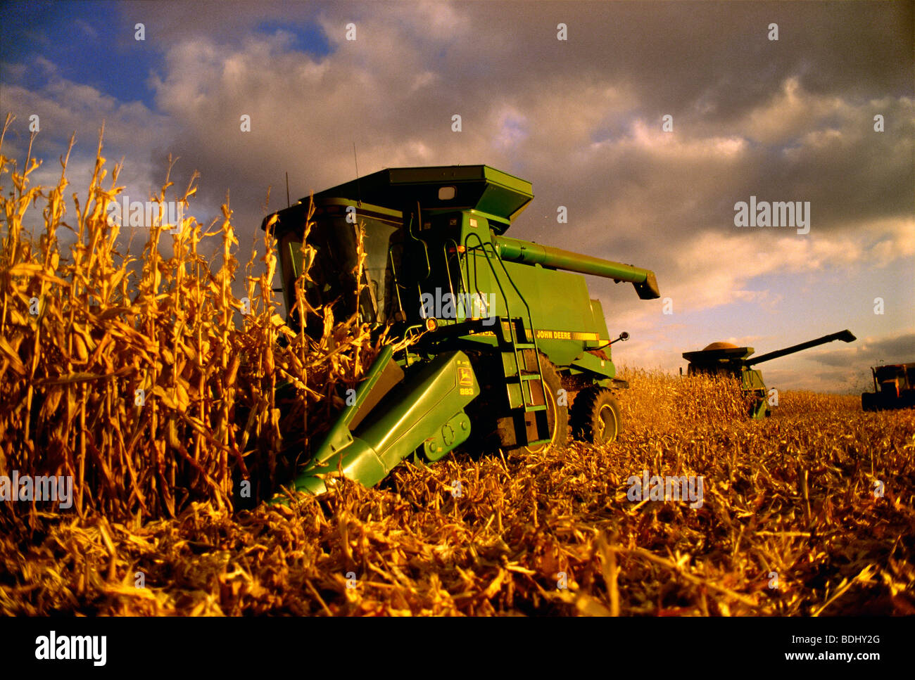 Agricultura - combina la cosecha del maíz durante un atardecer de otoño / Rock County, Wisconsin, Estados Unidos. Foto de stock