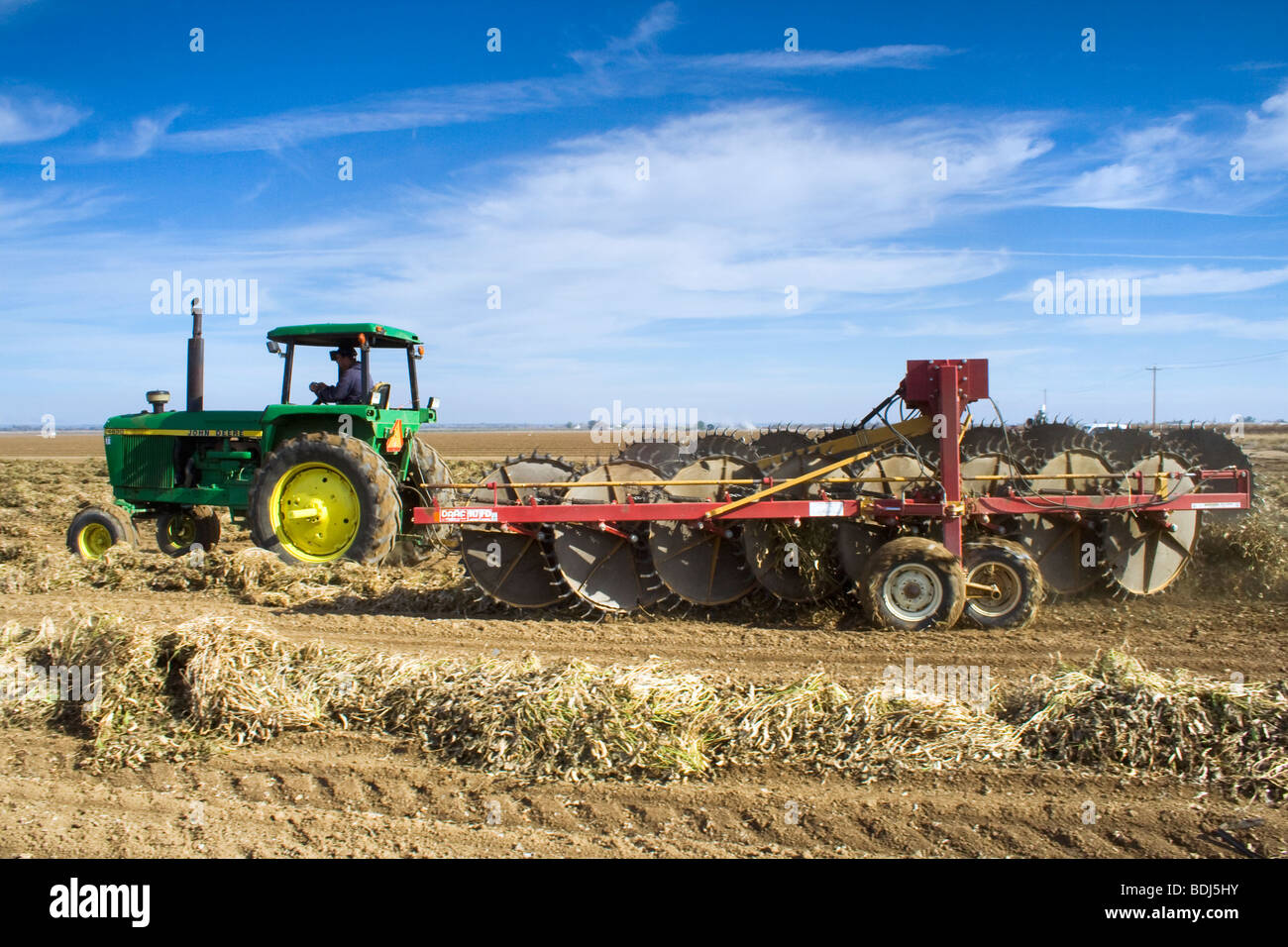 Un tractor con una segadora gira filas de frijoles secos cortados para  facilitar el secado, incluso antes de la cosecha / Arbuckle, California,  USA Fotografía de stock - Alamy