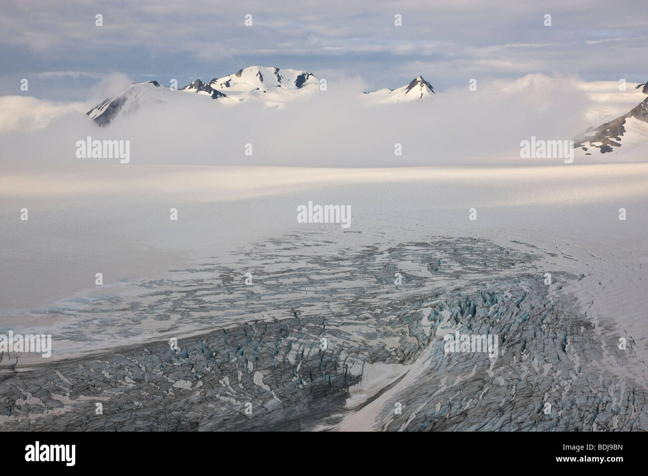 Harding Icefield, Parque Nacional de los fiordos de Kenai, Alaska. Foto de stock