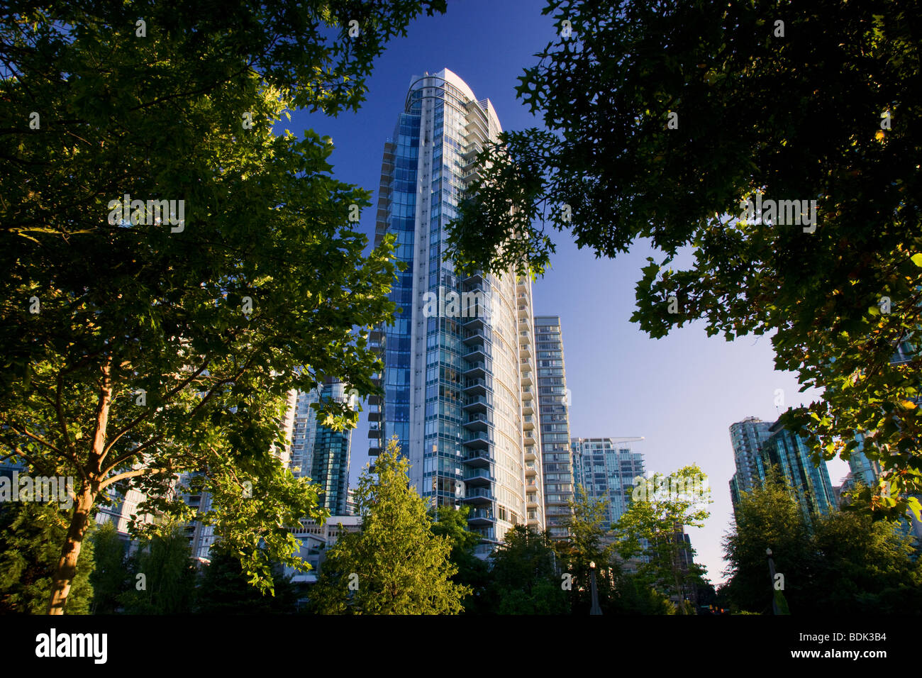 Condominios altos, Vancouver, British Columbia, Canadá. Foto de stock