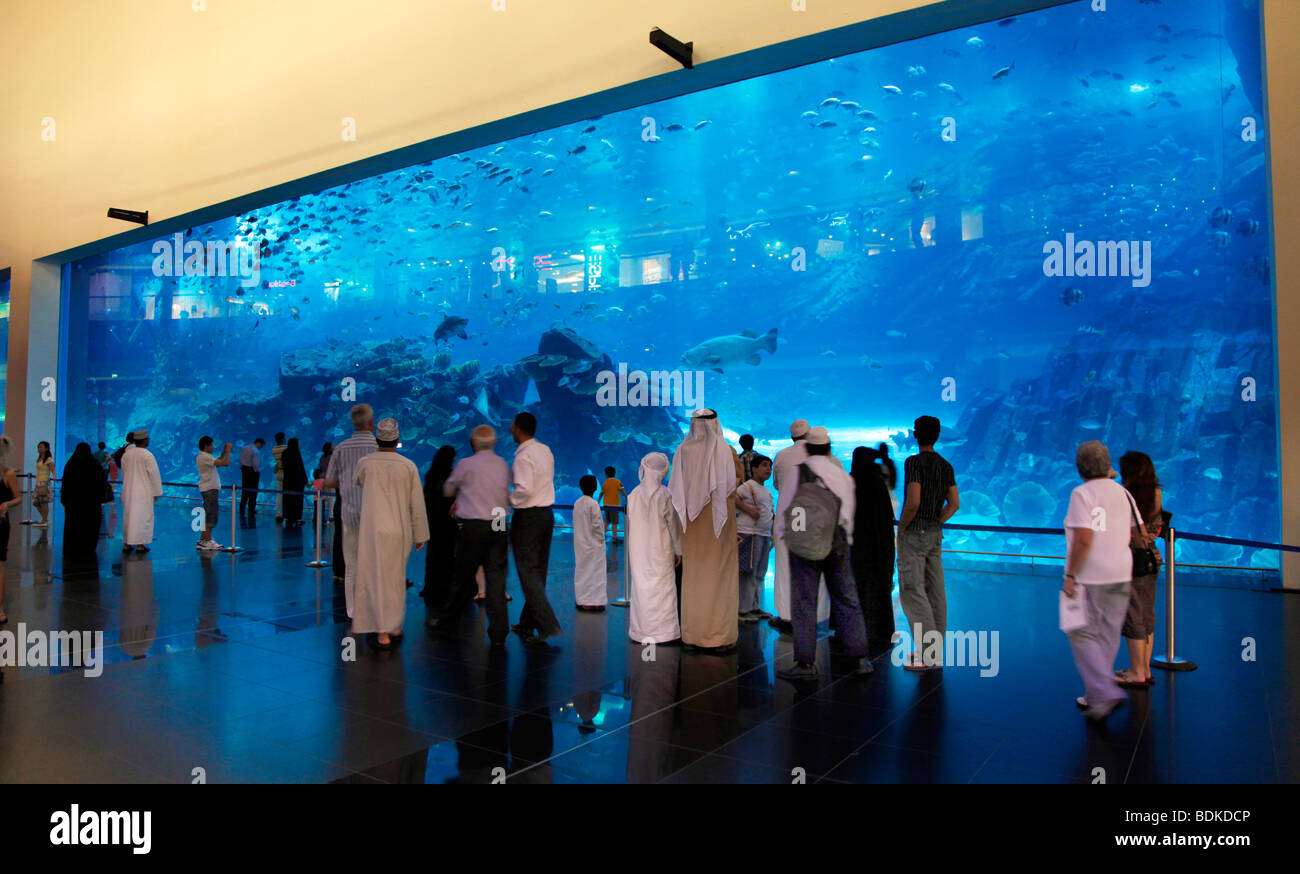 Dubai Acuario y Zoológico submarino, parte de Dubai Mall, en el centro de Dubai, la parte nueva de la ciudad, Dubai, Emiratos Árabes Unidos. Foto de stock