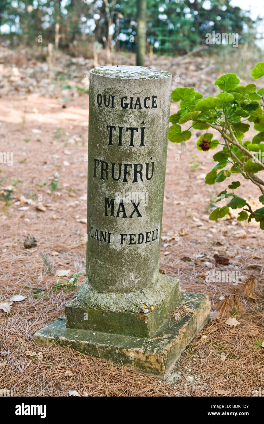 Tumba de perros fotografías e imágenes de alta resolución Alamy