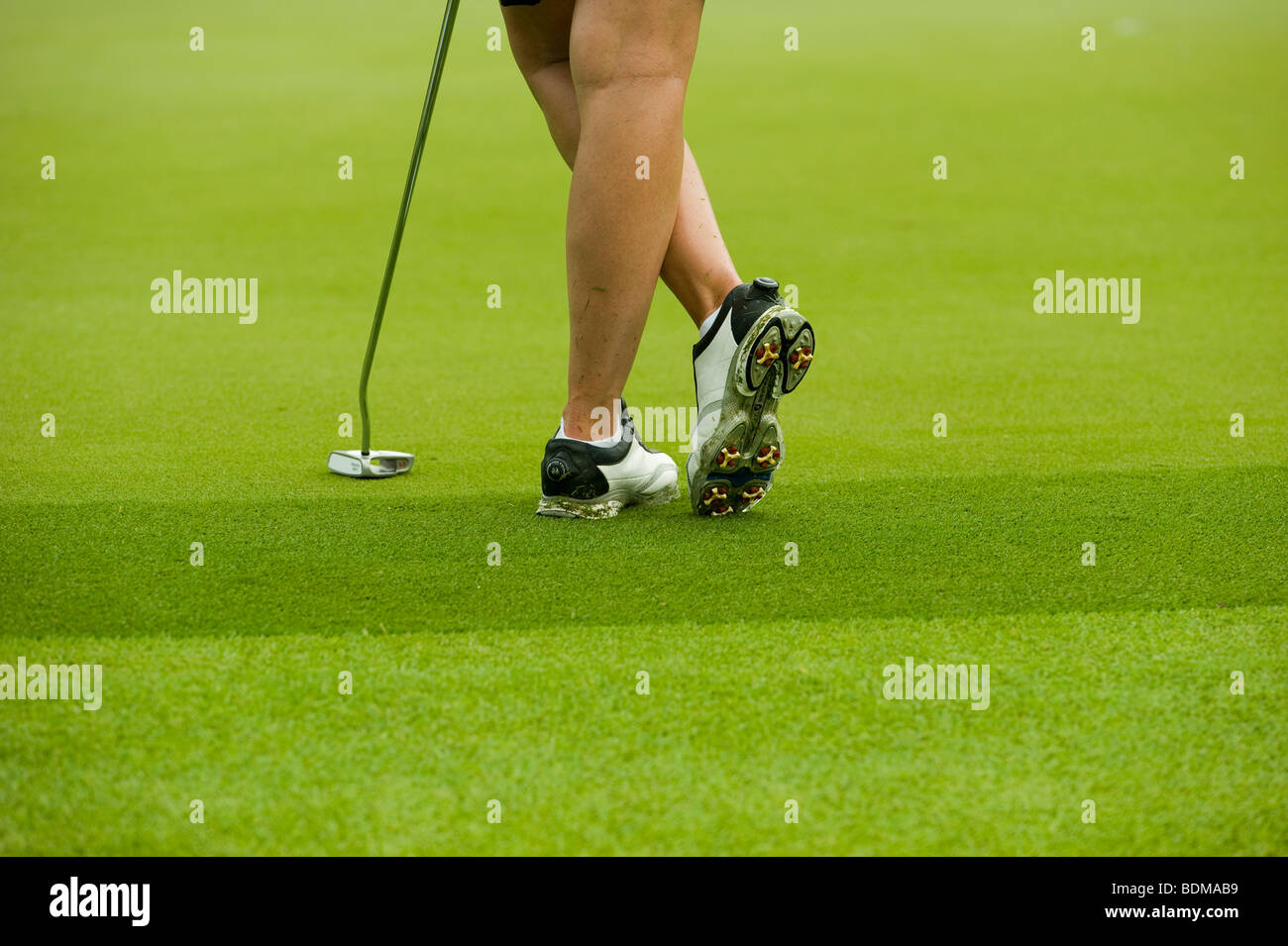 Zapatos de golf femenino durante el torneo de golf LGPA HSBC Campeones de  la mujer en el Tanah Merah Country Club en Singapur Fotografía de stock -  Alamy