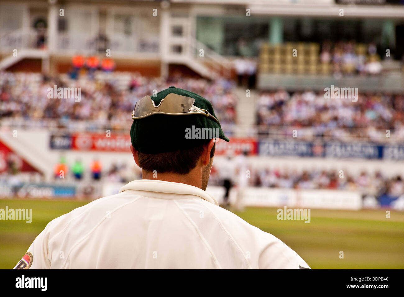 Jugador de críquet en partido de cricket, Londres, Reino Unido el óvalo Foto de stock