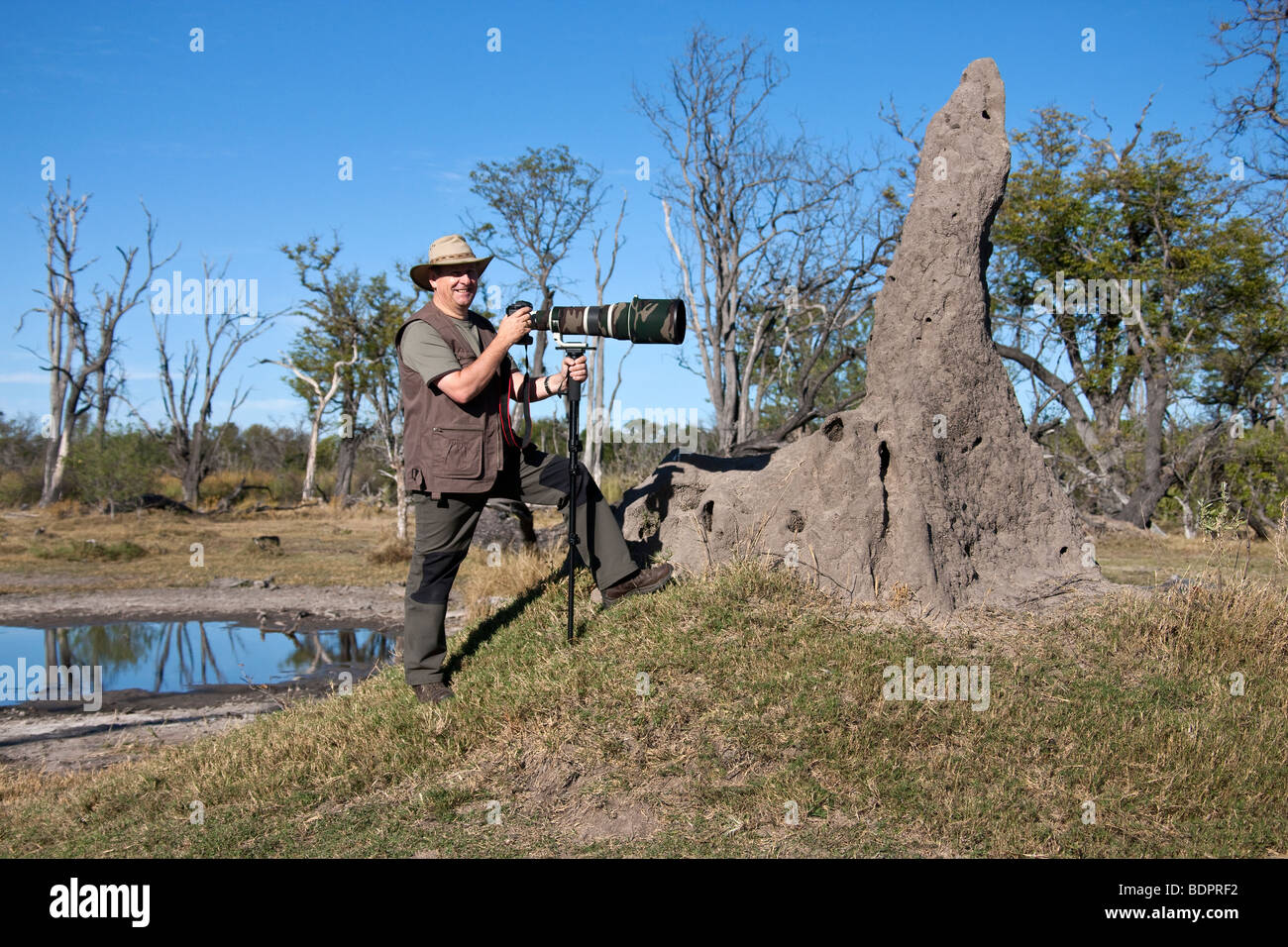 Fotografiar la vida salvaje en un safari en el Delta del Okavango en Botswana Foto de stock