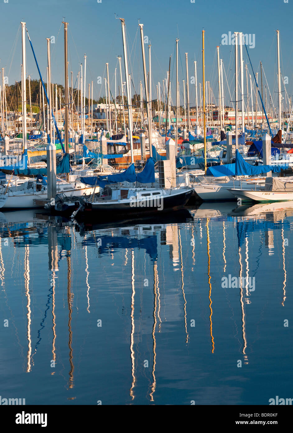Veleros en el puerto. Fisherman's Wharf. La Bahía de Monterey, California Foto de stock
