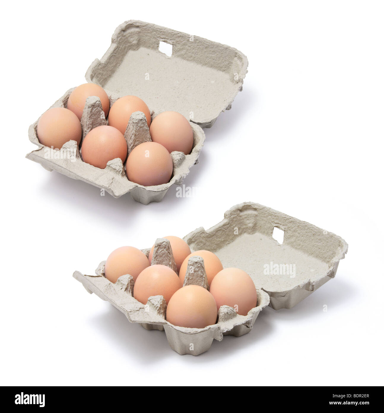 Los huevos en los cartones de huevo Foto de stock