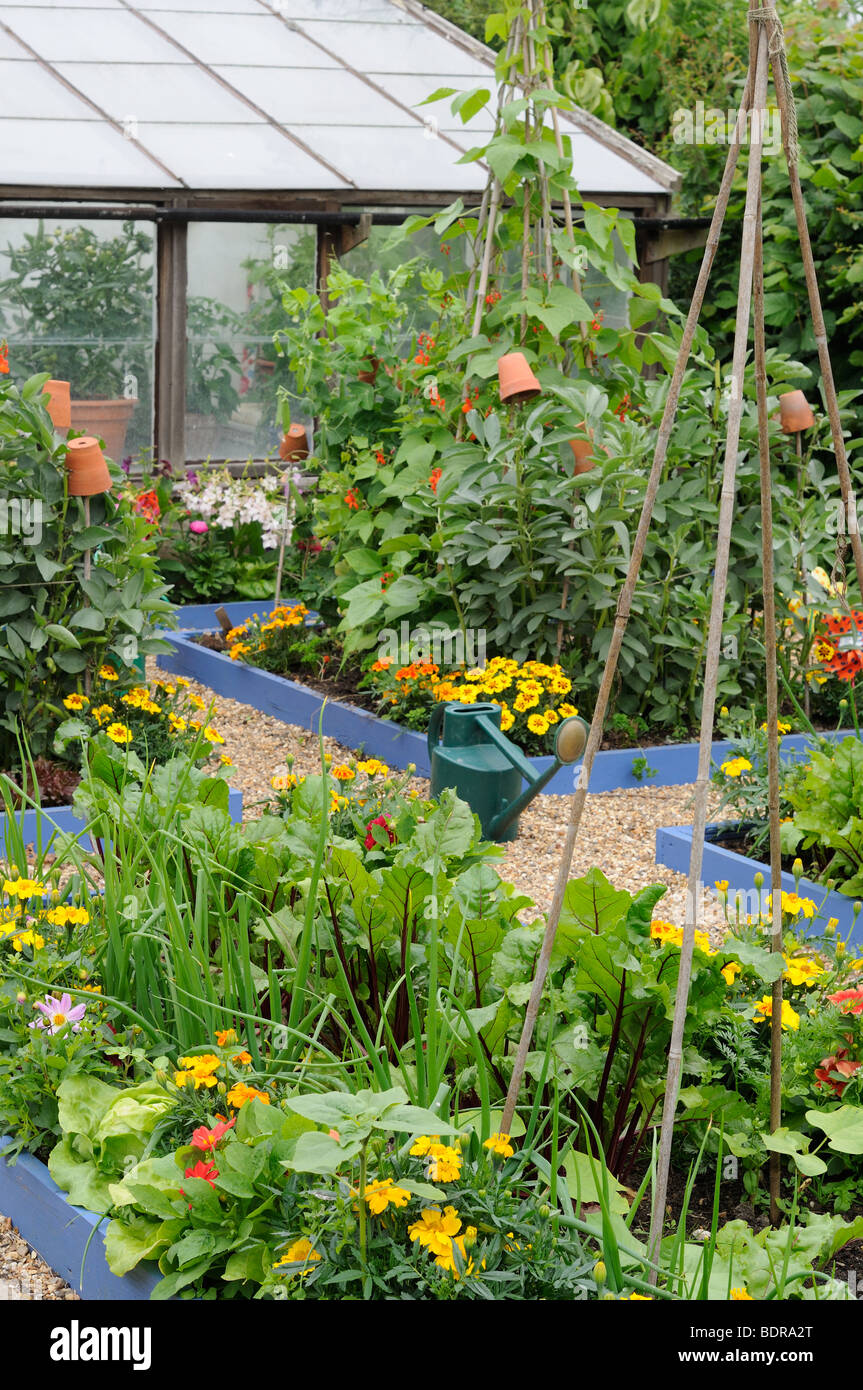 Pequeño jardín estilo potager cama levantada a mediados del verano mostrando la siembra de flores y hortalizas mixtas, REINO UNIDO, Julio Foto de stock