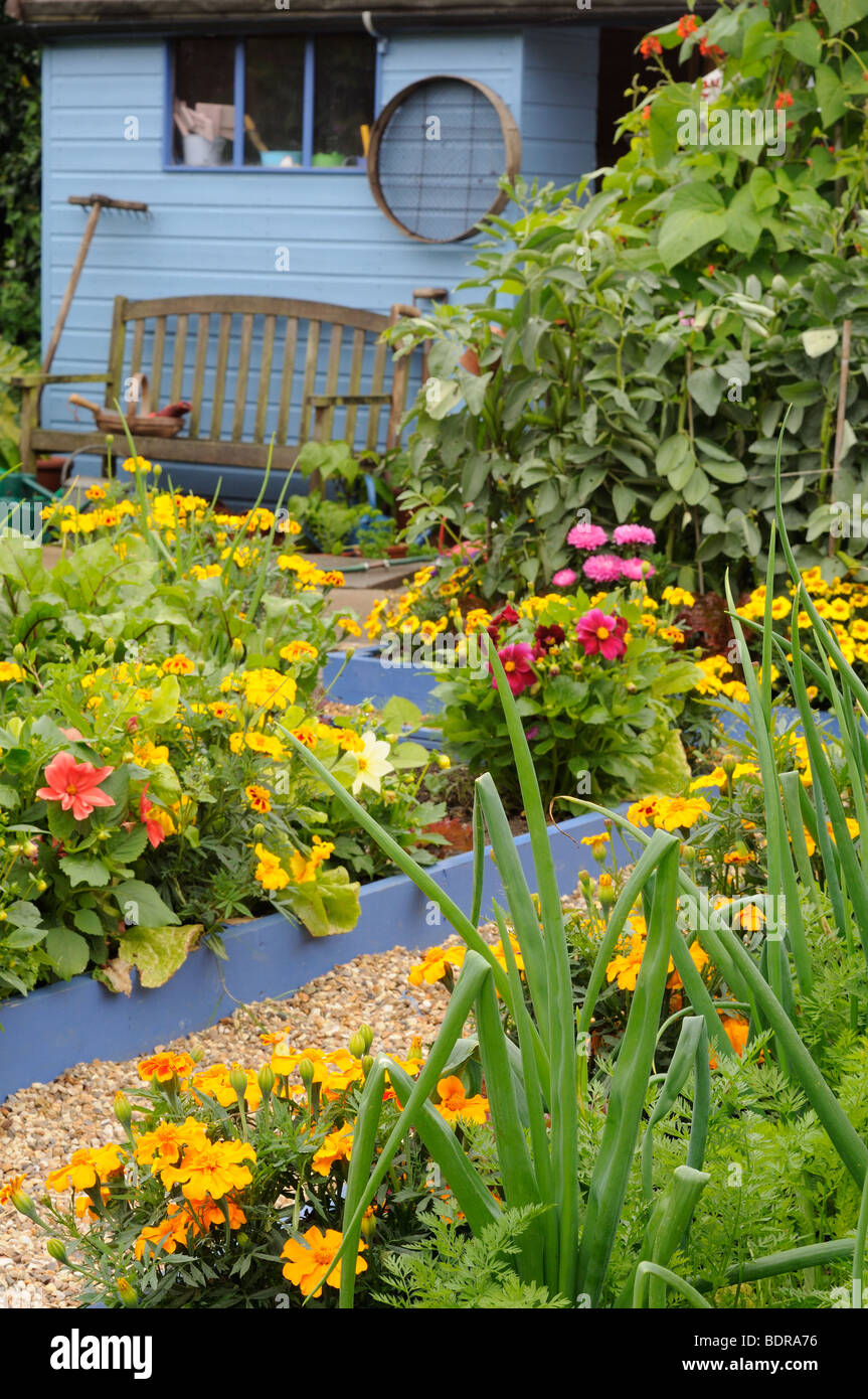 Pequeño jardín potager en mediados de verano, mostrando la siembra de flores y hortalizas mixtas, REINO UNIDO, Julio Foto de stock