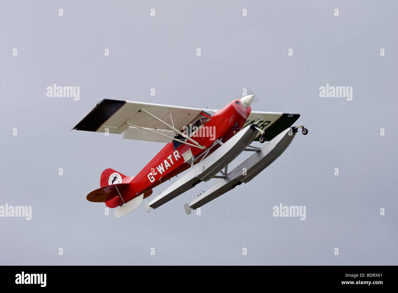 Aviat Husky A1 de doble asiento avión utilitario ligero de ala alta