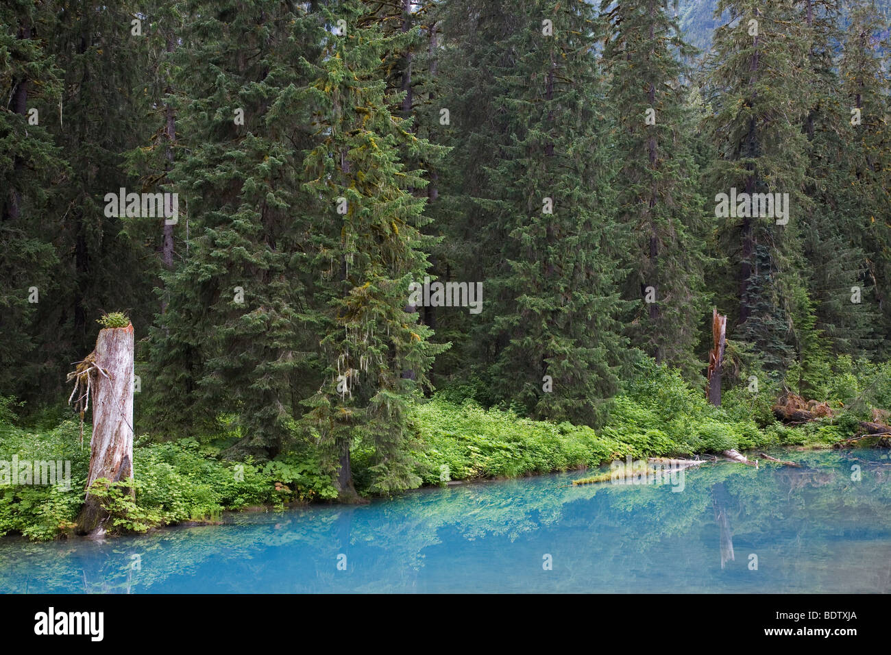 Die Blaue Laguna am Fish Creek / Laguna Azul en Fish Creek / Hyder - Alaska Foto de stock