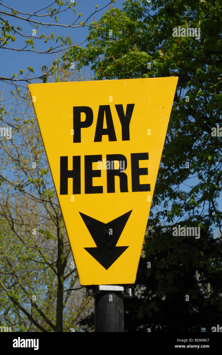 Un cartel amarillo con las palabras "Pagar aquí" y una flecha apuntando hacia abajo. Contra árboles y plantas verdes. Foto de stock