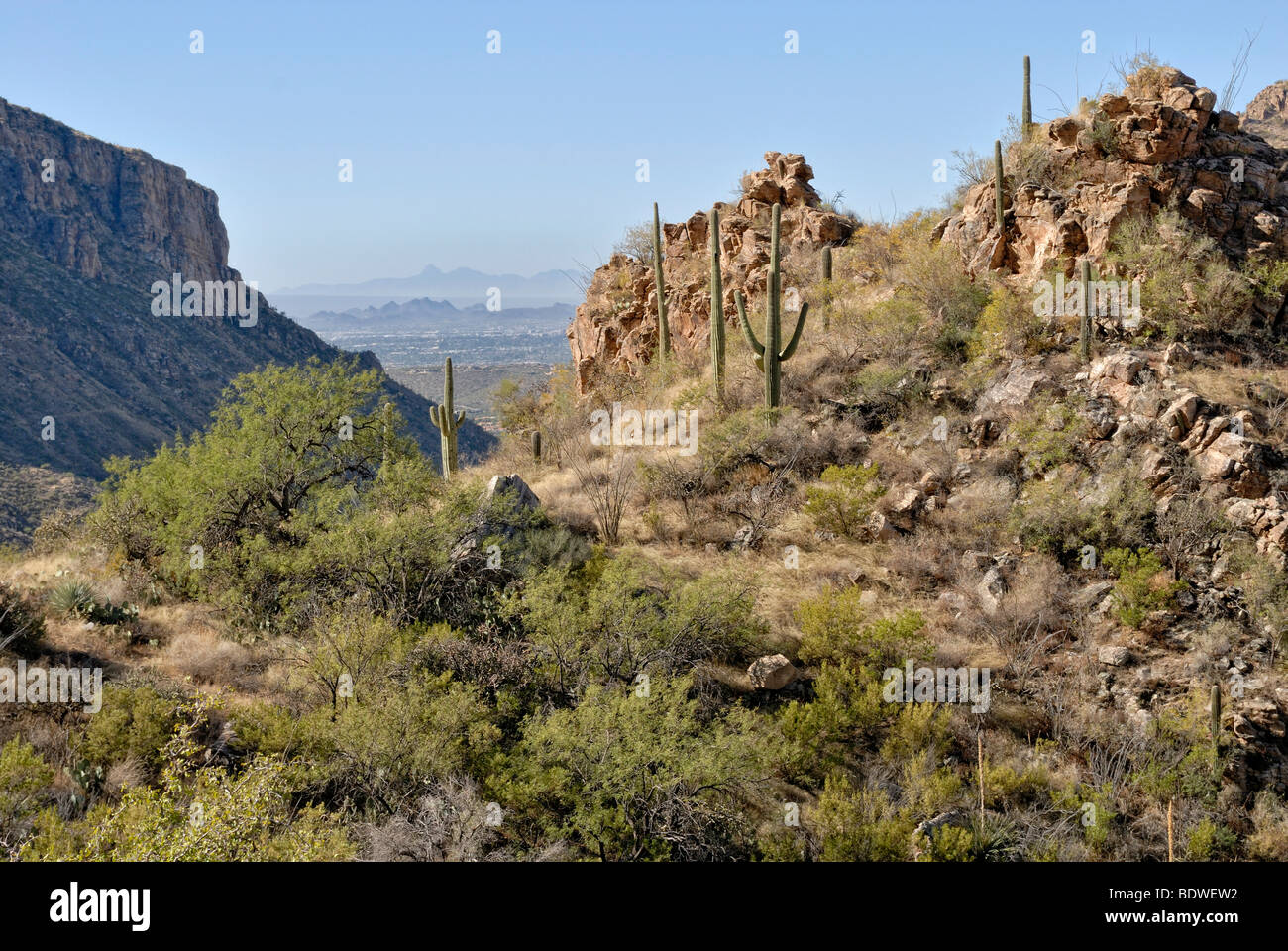 Vista desde la ruta de senderismo de gran altitud en Sabino Canyon en partes de la ciudad de Tucson, Arizona, EE.UU. Foto de stock