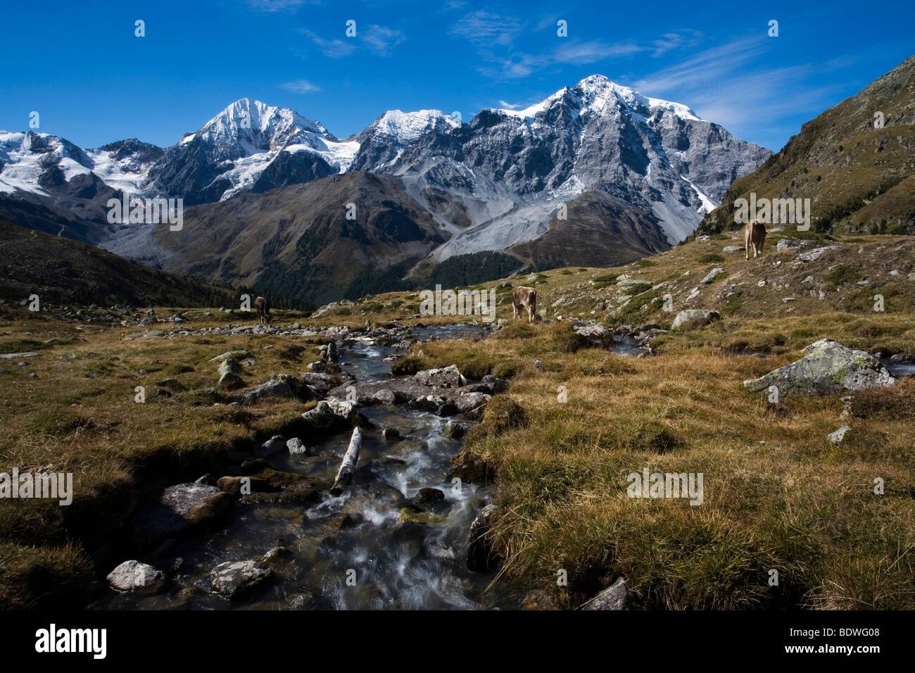 Arroyo de Montaña, Ortler cordillera, el Parque Nacional de Stelvio, Tirol del Sur, Italia, Europa Foto de stock