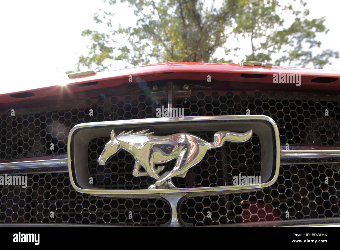 Ford Mustang emblema. Barbacoa. Smithville, Indiana car show. Foto de stock