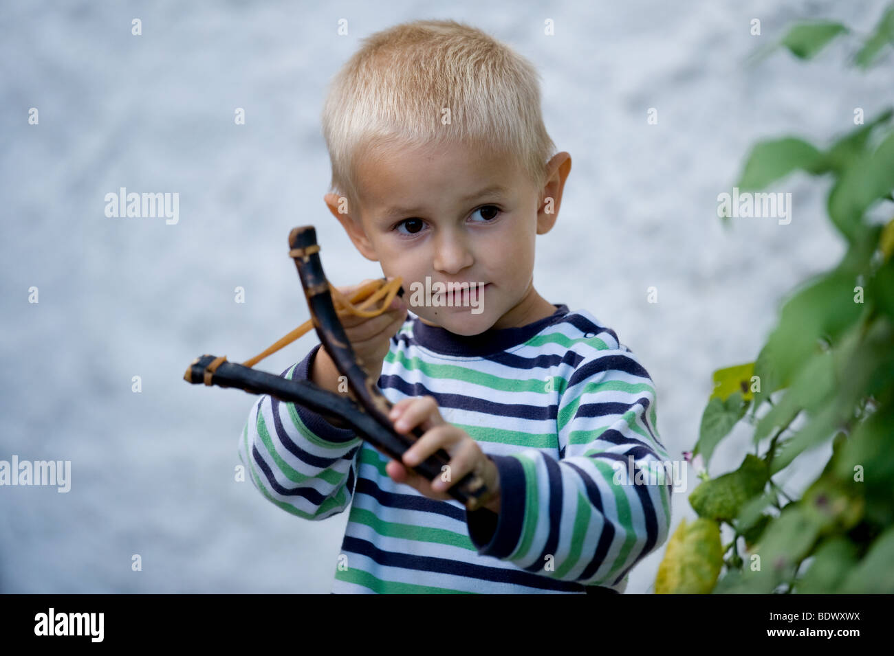 Bean shooter fotografías e imágenes de alta resolución Alamy