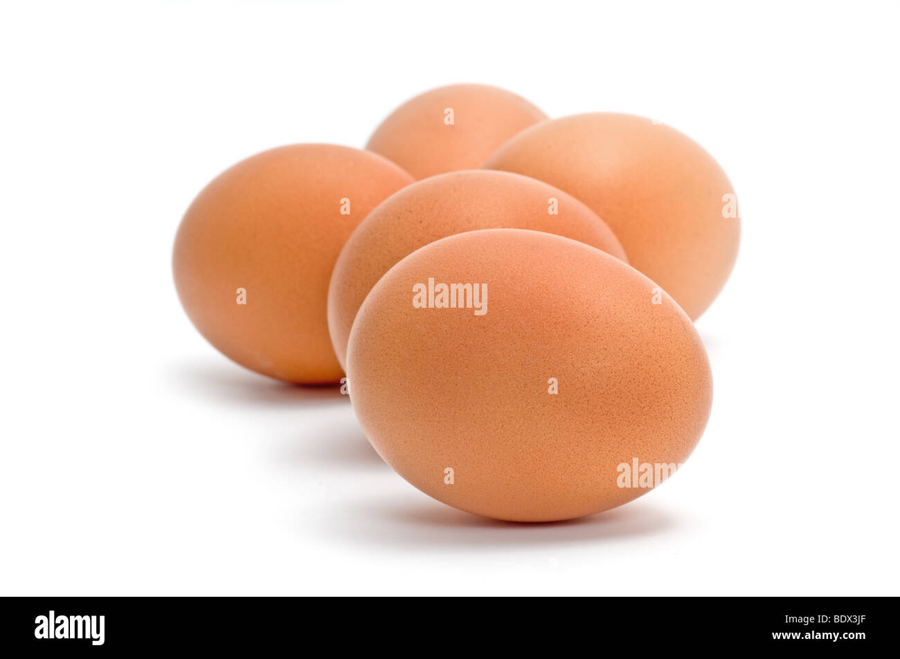 Grupo de huevos de pollo marrón aislado en blanco Foto de stock