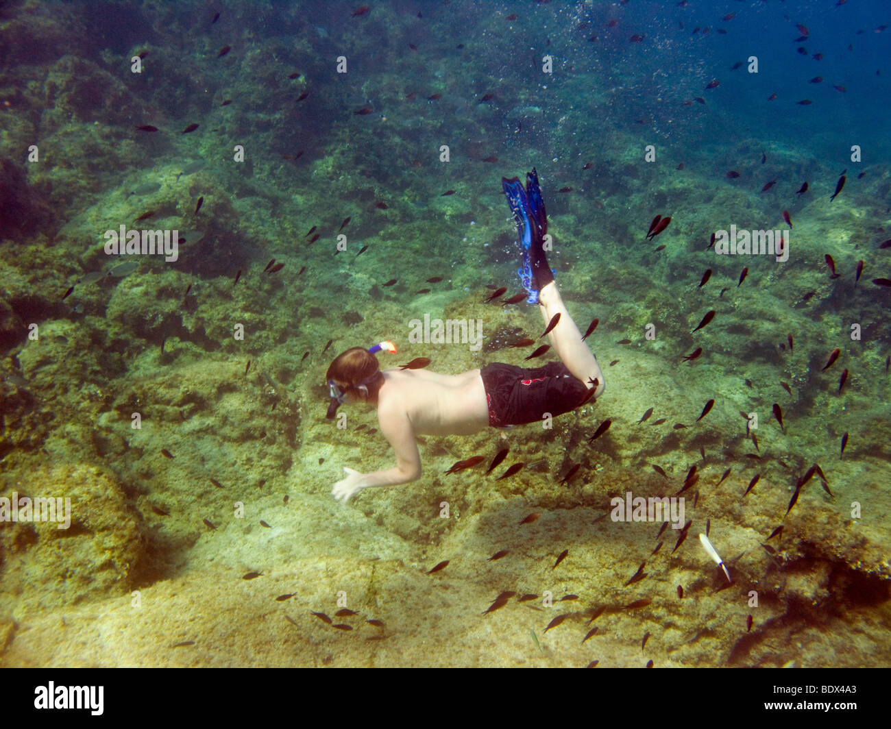 Joven adolescente bucear entre los peces en las claras aguas del Mediterráneo en la bahía Fig Tree, PROTARAS, CHIPRE. Foto de stock