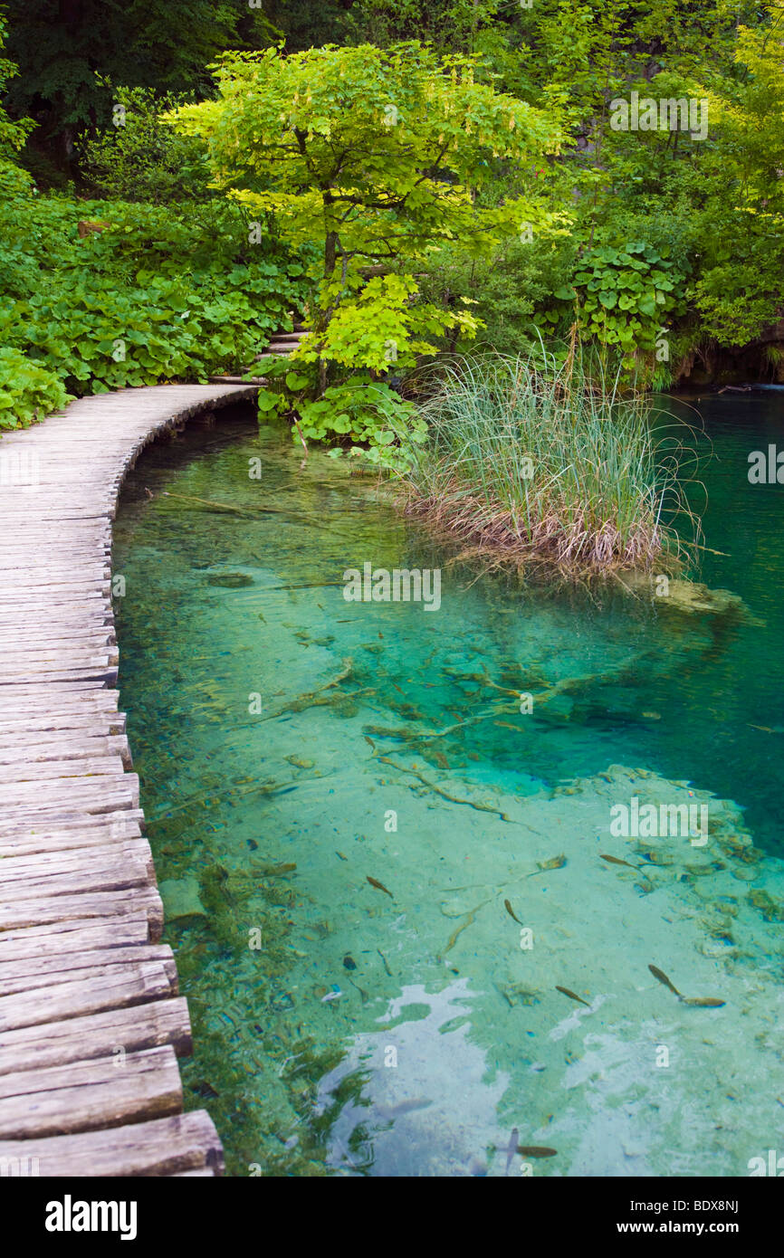 Ruta en Plitvicka Jezera, Parque Nacional de Los Lagos de Plitvice, Lika-Senj, Croacia, Europa Foto de stock