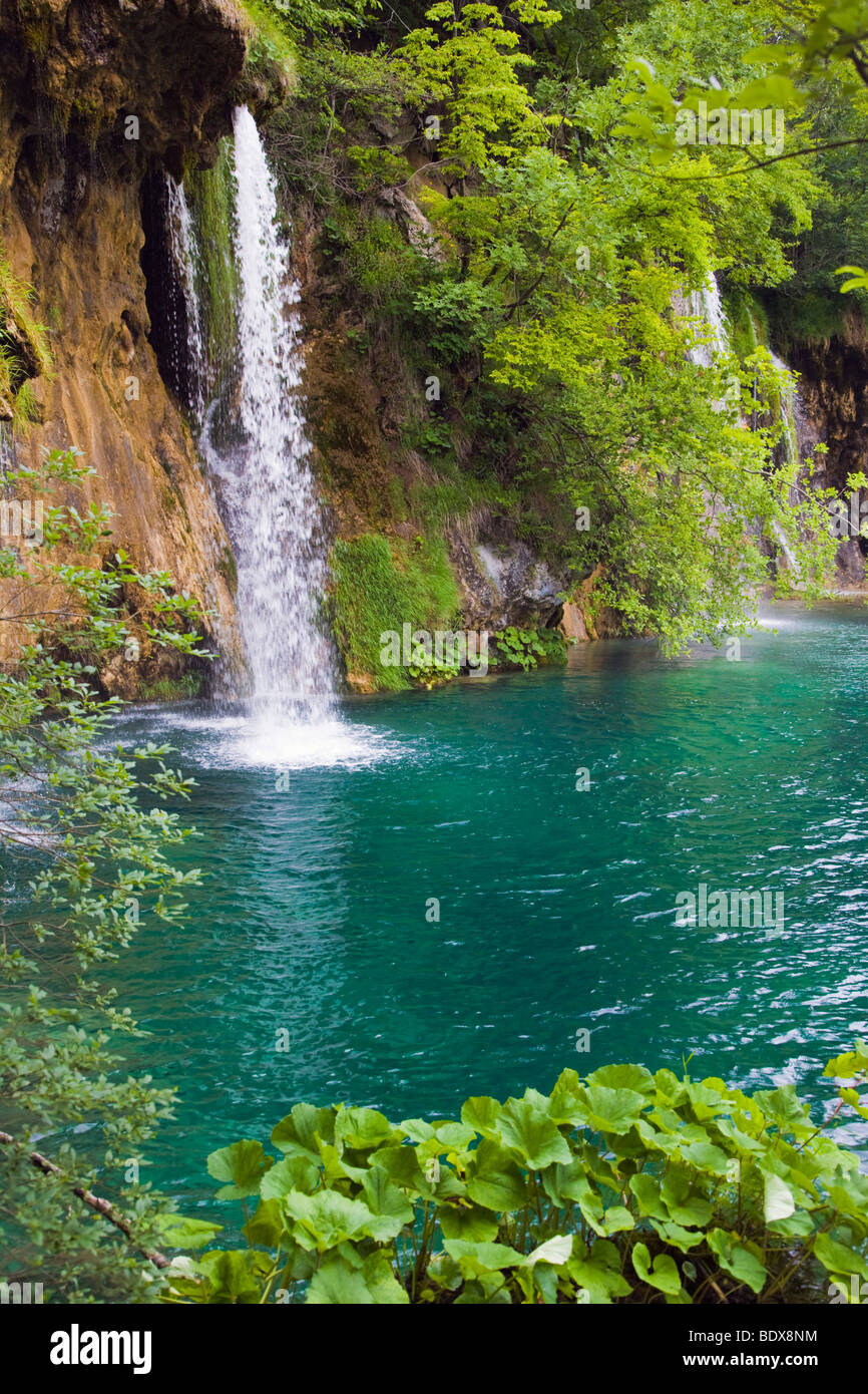 Cascadas, Plitvicka Jezera, Parque Nacional de Los Lagos de Plitvice, Lika-Senj, Croacia, Europa Foto de stock
