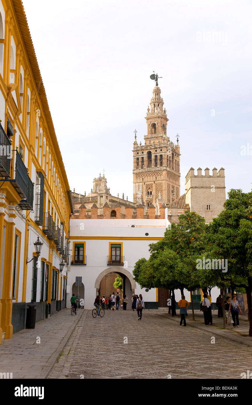 Patio de los Naranjos, patio con naranjos, campanario de la Giralda, El