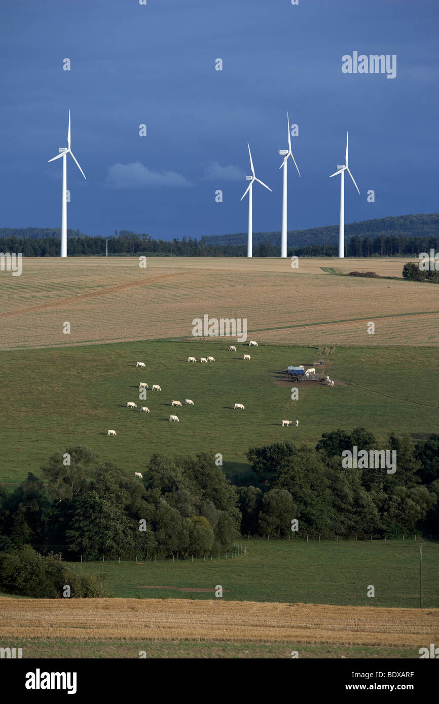 Cerca de parques eólicos en la región Hunsrueck Kisselbach, Renania-Palatinado, Alemania, Europa Foto de stock