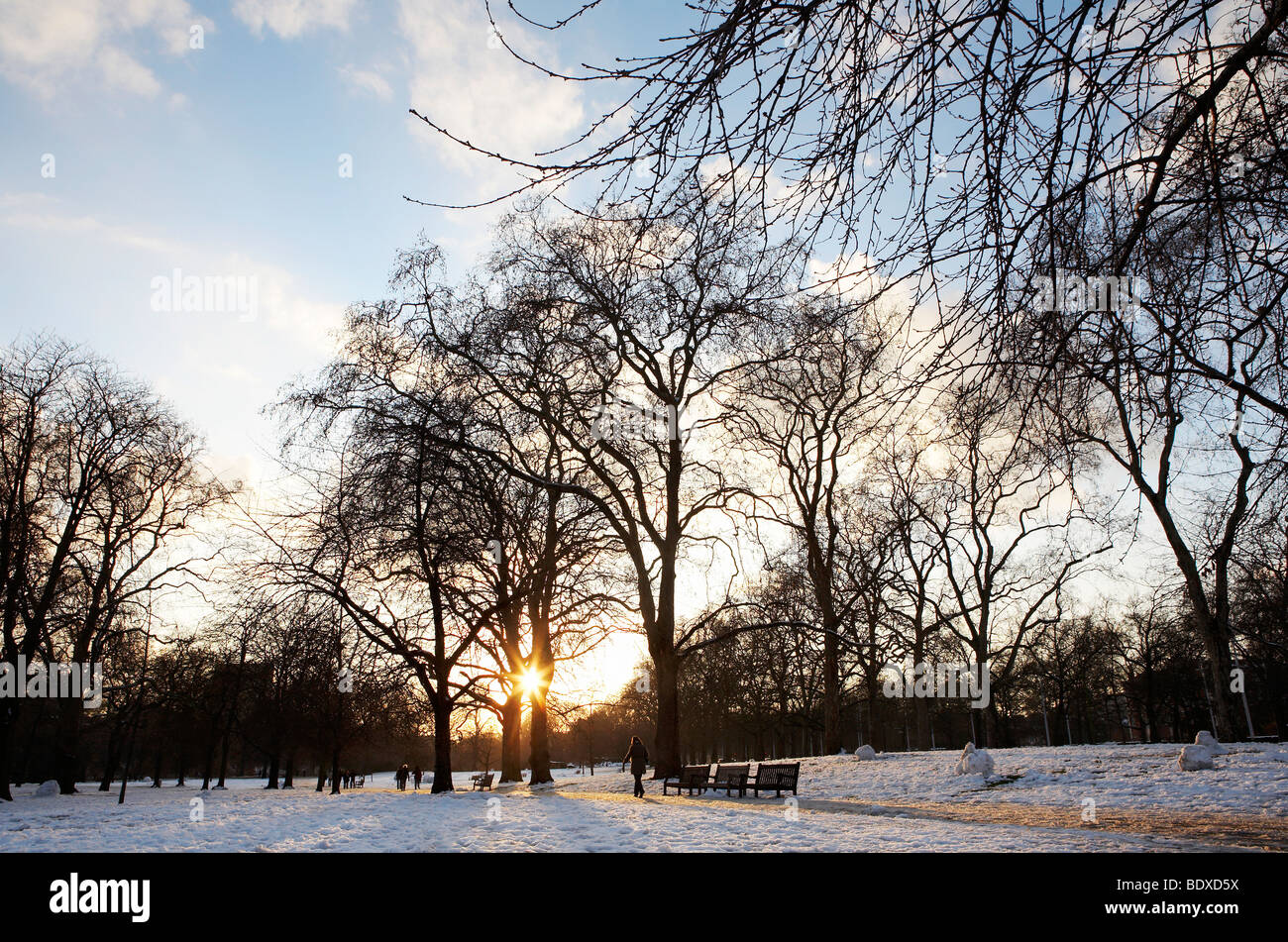 Londres: St James' Park en la nieve. Foto de stock